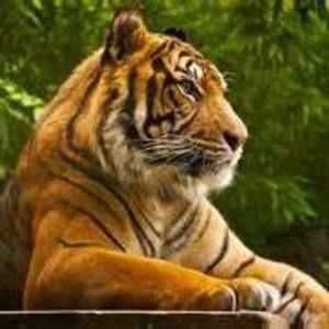 Meet your Posher, Jack